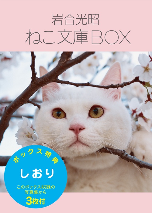 岩合光昭ねこ文庫BOX