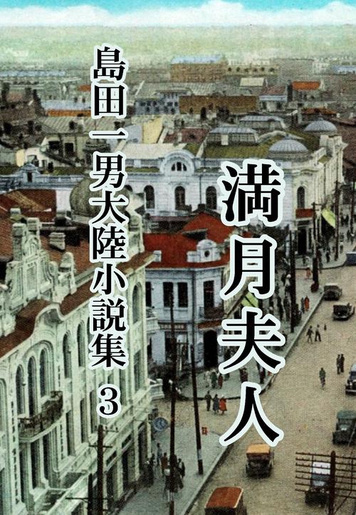 【オンデマンドブック】島田一男大陸小説集3 満月夫人