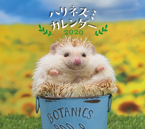 '20 ハリネズミカレンダー