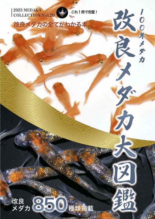 改良メダカ大図鑑 100年メダカ