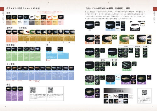 改良メダカ大図鑑 100年メダカ 2024 Vol.21