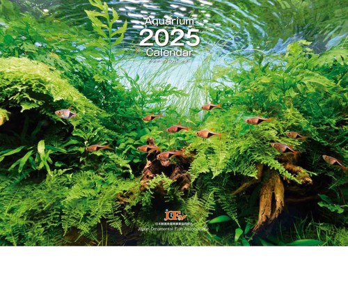 Aquarium Calendar アクアリウムカレンダー 2025（月めくり・壁掛け）