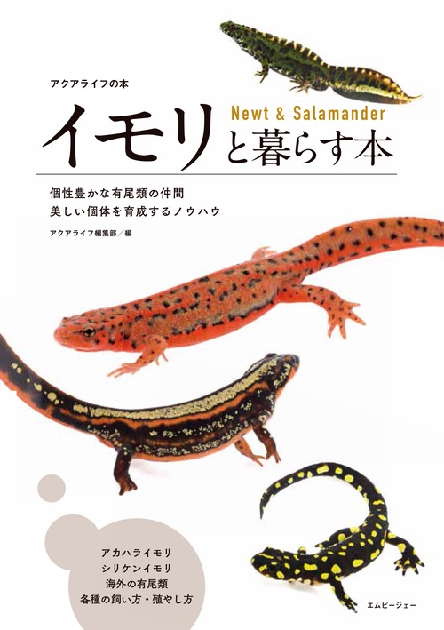 イモリと暮らす本