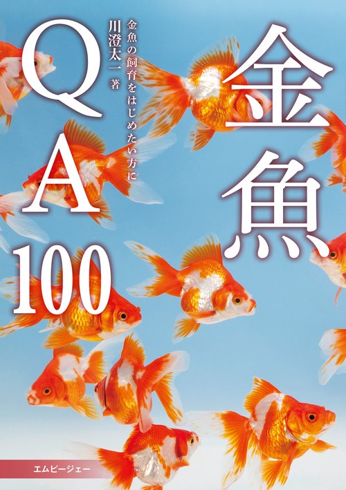 金魚QA100