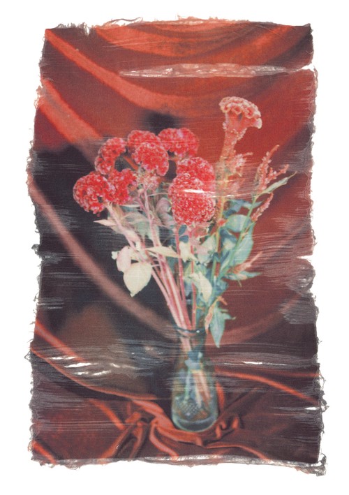 Swaying Flowers