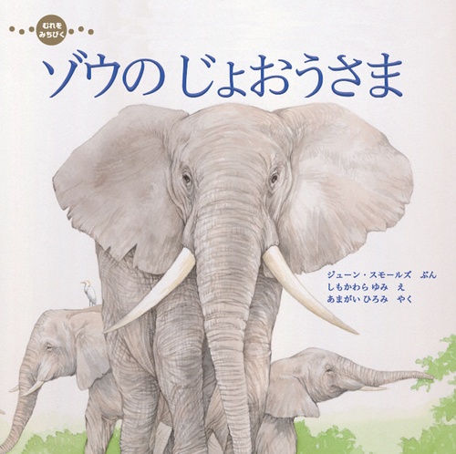 むれを みちびく ゾウの じょおうさま