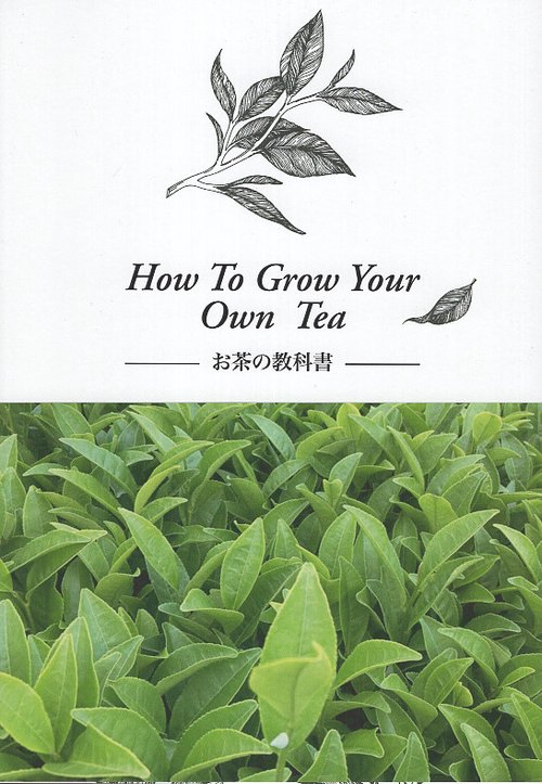 HOW TO GROW YOUR OWN TEA -お茶の教科書-