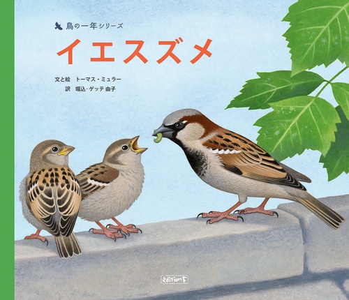 イエスズメ