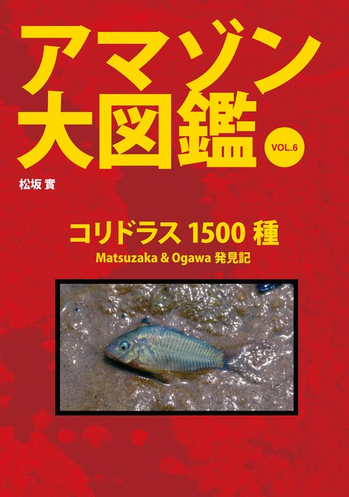 アマゾン大図鑑vol.6　コリドラス1500種