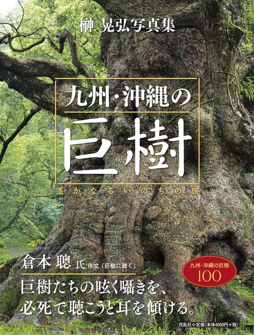 九州・沖縄の巨樹