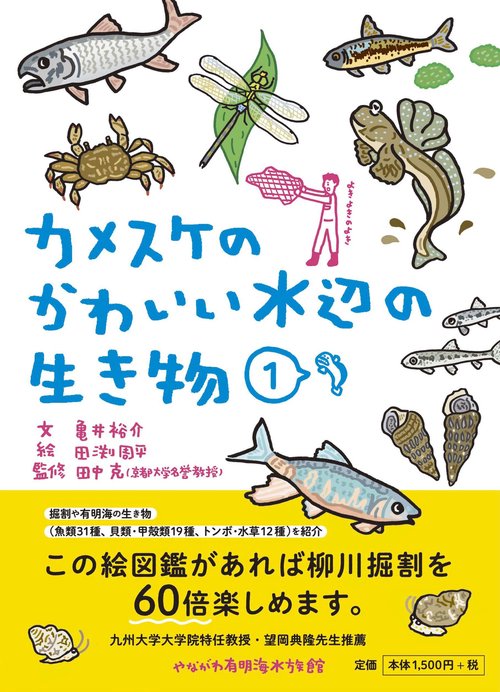 カメスケのかわいい水辺の生き物