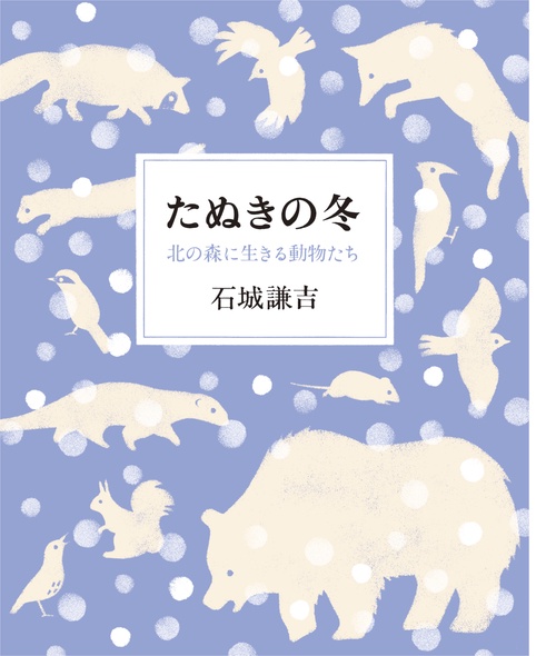 たぬきの冬