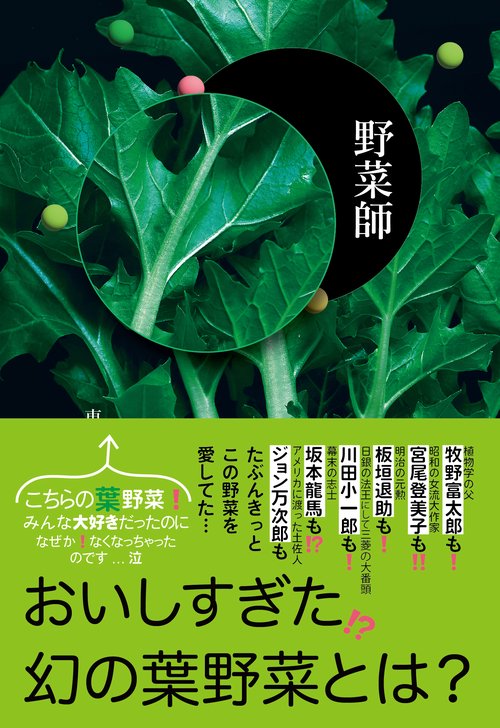 野菜師