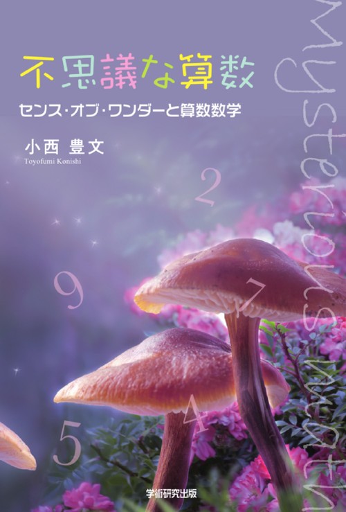 不思議な算数