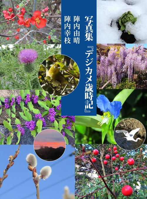 写真集『デジカメ歳時記』