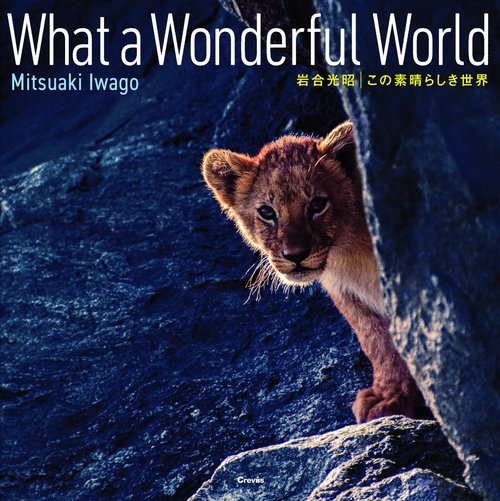 この素晴らしき世界　What a Wonderful World
