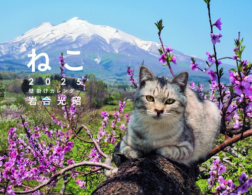 2025 岩合光昭 ねこ 壁掛けカレンダー
