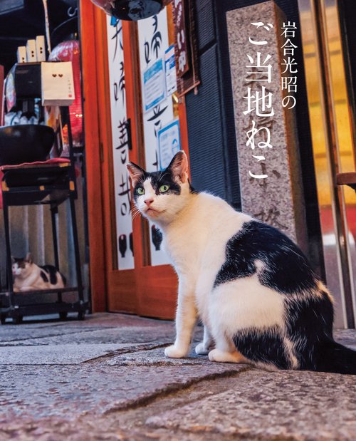 岩合光昭のご当地ねこ