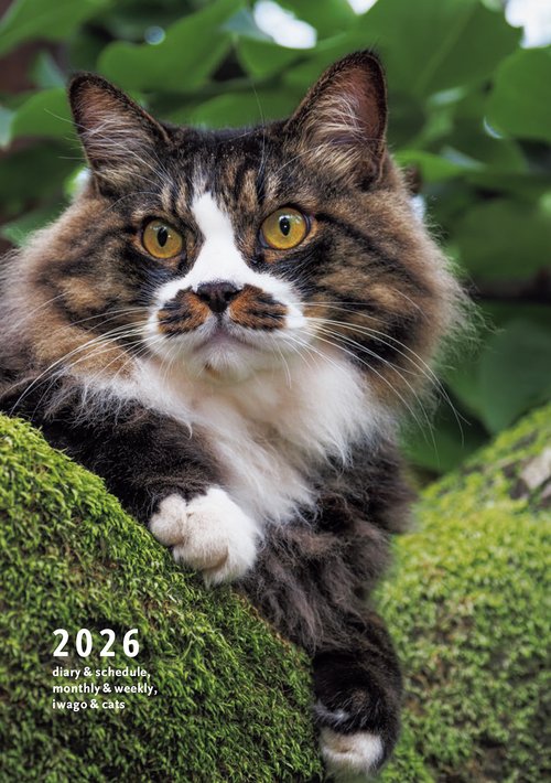 2026 岩合光昭 ねこ手帳
