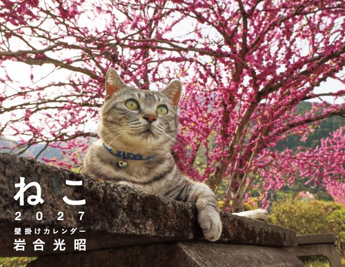 2027 岩合光昭 ねこ 壁掛けカレンダー