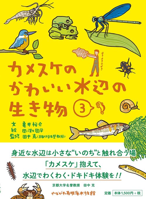 カメスケのかわいい水辺の生き物
