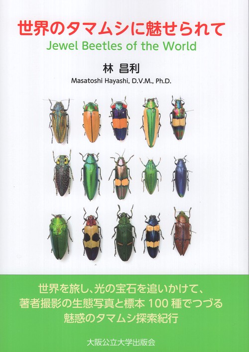 世界のタマムシに魅せられて