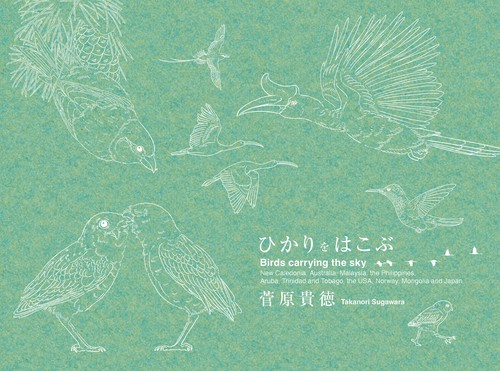 ひかりをはこぶ　Birds carrying the sky