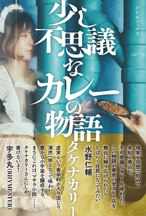 少し不思議なカレーの物語