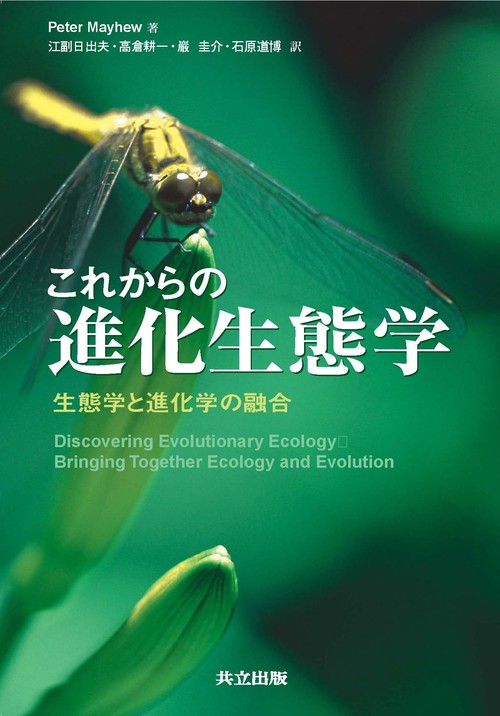 拡張するキュレーション 価値を生み出す技術／暮沢 剛巳