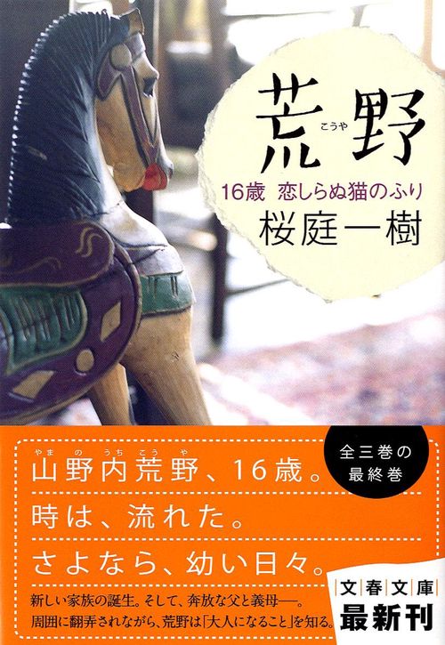 荒野 16歳 恋しらぬ猫のふり