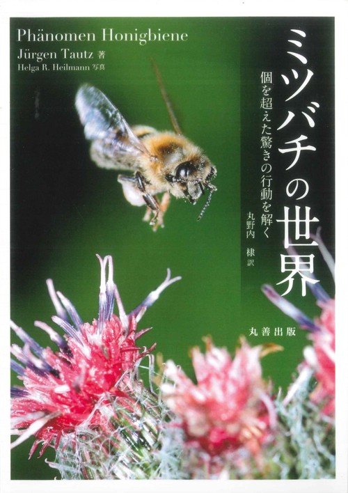 ミツバチの世界 個を超えた驚きの行動を解く』｜感想・レビュー