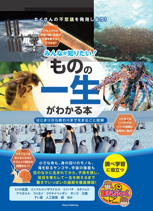 みんなが知りたい!ものの一生がわかる本 はじまりから終わりまでをまるごと図解