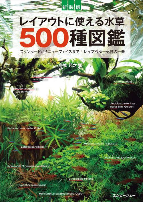 新装版 レイアウトに使える水草 500種図鑑 – 丸善ジュンク堂書店ネット
