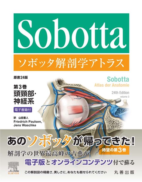 ソボッタ解剖学アトラス 原書24版 第3巻 頭頸部・神経系 – 丸善