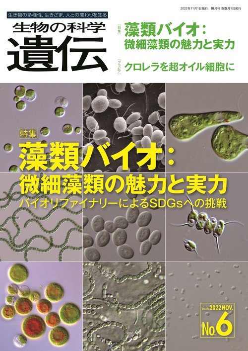 地球を創生した藻類が地球を救う：藻類の優れた光合成・増殖