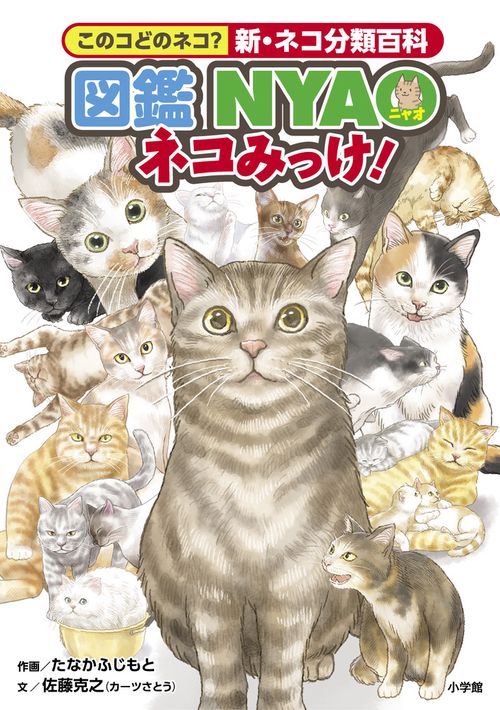 ビジュアル猫種百科図鑑 | 小島正記 |本 | 通販 | Amazon