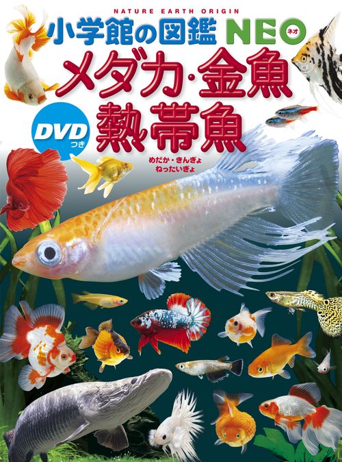 メダカ・金魚・熱帯魚 DVDつき – 丸善ジュンク堂書店ネットストア