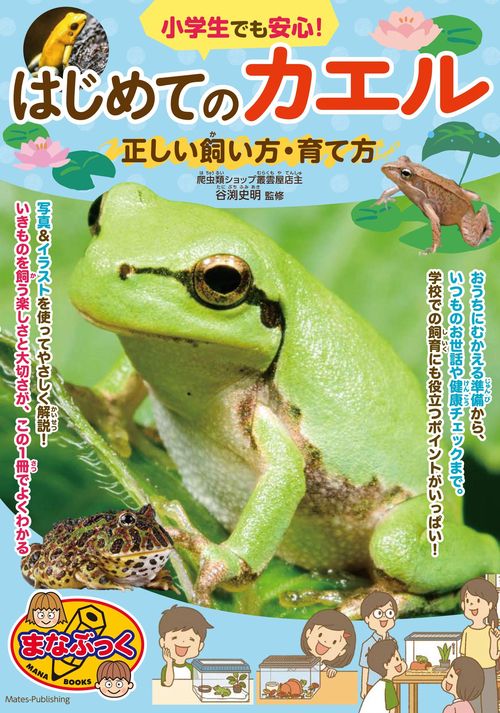 小学生でも安心! はじめてのカエル 正しい飼い方・育て方