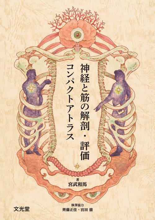 神経と筋の解剖・評価コンパクトアトラス – 丸善ジュンク堂書店