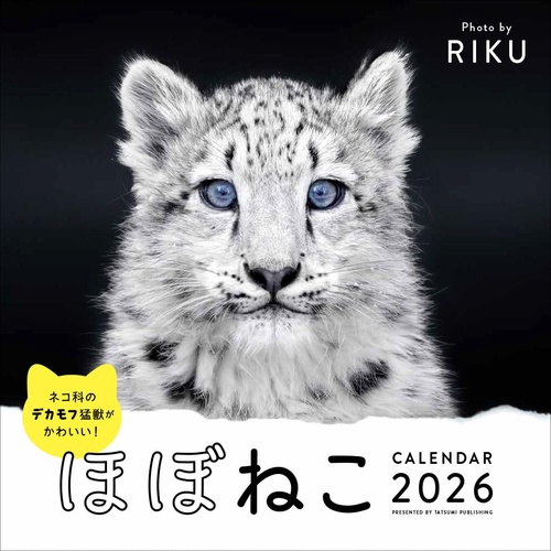 2026 ほぼねこカレンダー – 丸善ジュンク堂書店ネットストア