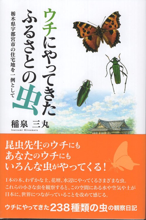 ウチにやってきたふるさとの虫